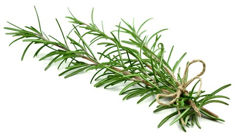 Rosemary